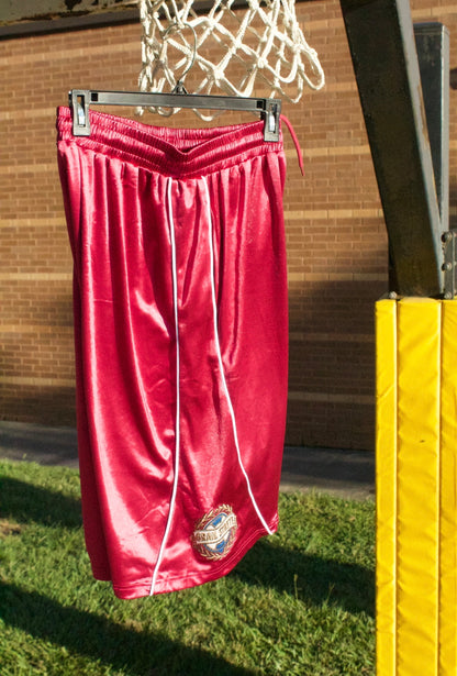 Berry Basketball Shorts